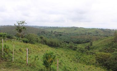 SE VENDE FINCA AGRÍCOLA DE 104 HAS.  MOMPICHE - MUISNE - ESMERALDAS - ECUADOR