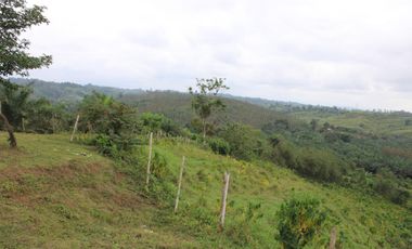 SE VENDE FINCA AGRÍCOLA DE 104 HAS.  MOMPICHE - MUISNE - ESMERALDAS - ECUADOR