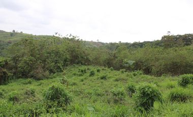 SE VENDE FINCA AGRÍCOLA DE 104 HAS.  MOMPICHE - MUISNE - ESMERALDAS - ECUADOR