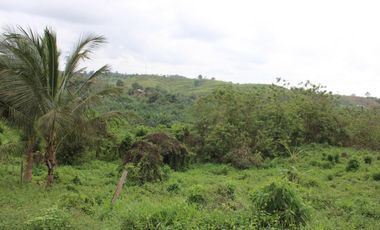 SE VENDE FINCA AGRÍCOLA DE 104 HAS.  MOMPICHE - MUISNE - ESMERALDAS - ECUADOR