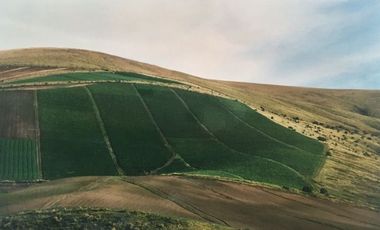 SE VENDE DE OPORTUNIDAD HERMOSA HACIENDA AGRICOLA 678 HAS. LATACUNGA – COTOPAXI – ECUADOR