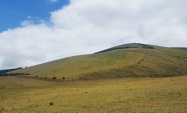 SE VENDE DE OPORTUNIDAD HERMOSA HACIENDA AGRICOLA 678 HAS. LATACUNGA – COTOPAXI – ECUADOR