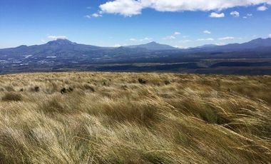 SE VENDE DE OPORTUNIDAD HERMOSA HACIENDA AGRICOLA 678 HAS. LATACUNGA – COTOPAXI – ECUADOR