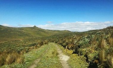 SE VENDE DE OPORTUNIDAD HERMOSA HACIENDA AGRICOLA 678 HAS. LATACUNGA – COTOPAXI – ECUADOR