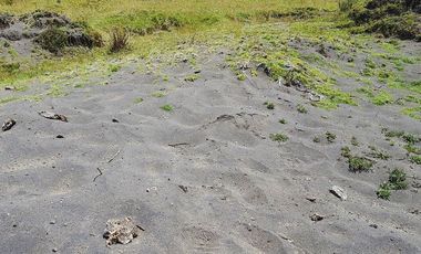 SE VENDE DE OPORTUNIDAD HERMOSA HACIENDA AGRICOLA 678 HAS. LATACUNGA – COTOPAXI – ECUADOR