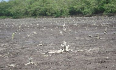 SE VENDE ISLA (BOSQUE PRIMARIO) 2.201 HECTÁREAS,  SAN LORENZO – ESMERALDAS - ECUADOR