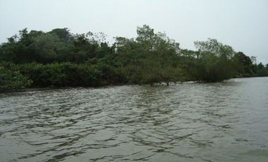 SE VENDE ISLA (BOSQUE PRIMARIO) 2.201 HECTÁREAS,  SAN LORENZO – ESMERALDAS - ECUADOR