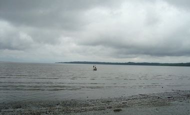 SE VENDE ISLA (BOSQUE PRIMARIO) 2.201 HECTÁREAS,  SAN LORENZO – ESMERALDAS - ECUADOR