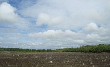 SE VENDE ISLA (BOSQUE PRIMARIO) 2.201 HECTÁREAS,  SAN LORENZO – ESMERALDAS - ECUADOR