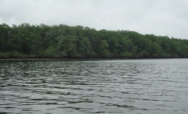 SE VENDE ISLA (BOSQUE PRIMARIO) 2.201 HECTÁREAS,  SAN LORENZO – ESMERALDAS - ECUADOR