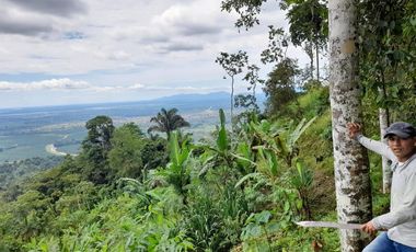 SE VENDE FINCA DE BOSQUE PRIMARIO 252,40 HECTAREAS  EL NARANJAL - GUAYAS - ECUADOR