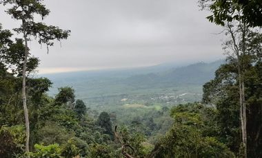 SE VENDE FINCA DE BOSQUE PRIMARIO 252,40 HECTAREAS  EL NARANJAL - GUAYAS - ECUADOR