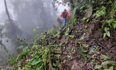 SE VENDE FINCA DE BOSQUE PRIMARIO 252,40 HECTAREAS  EL NARANJAL - GUAYAS - ECUADOR