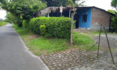 VENDO FINCA VEREDA LA FLOR SAN LUIS TOLIMA