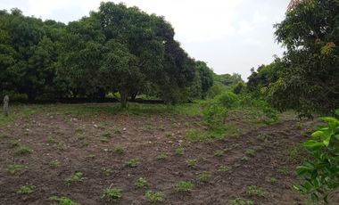 VENDO FINCA VEREDA LA FLOR SAN LUIS TOLIMA
