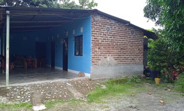 VENDO FINCA VEREDA LA FLOR SAN LUIS TOLIMA