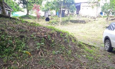 VENDO FINCA VEREDA LA FLOR SAN LUIS TOLIMA