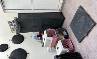 SE VENDE EXCELENTE CASA UBICADA EN SAN NICOLÁS TOTOLAPAN EN LA ALCALDÍA MAGDALENA CONTRERAS