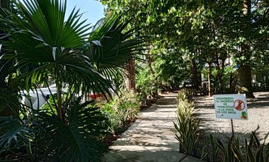 ARRIENDO HERMOSO APTO EN ALTOS DE LA CAROLINA, IBAGUÉ PxA