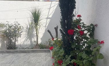 Casa en Renta en Tlacopa