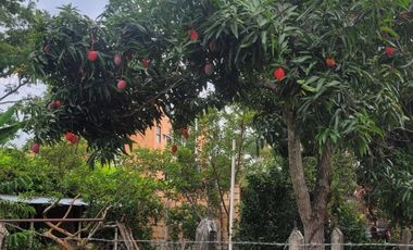 Venta, Casa Finca de 155m2, Lote de 838 m2