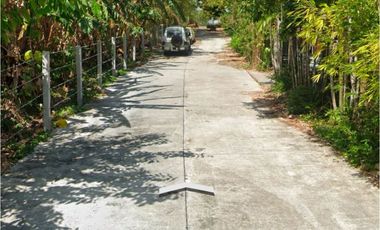 Alaminos Laguna Farm Lot for Sale
