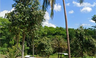 Alaminos Laguna Farm Lot for Sale