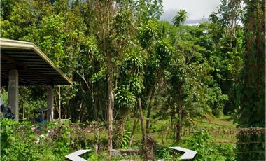 Alaminos Laguna Farm Lot for Sale