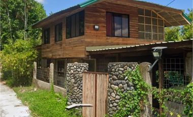 Alaminos Laguna Farm Lot for Sale