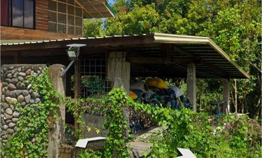 Alaminos Laguna Farm Lot for Sale