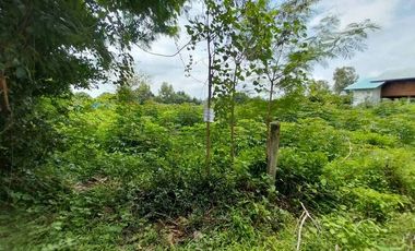 87846 - ขายที่ดินเปล่า 1 ไร่ 1 งาน 60ตร.ว. หนองกุง จ.มหาสารคาม