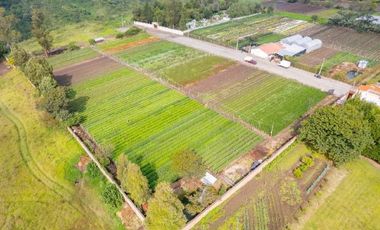 Venta de terreno sector Tababela