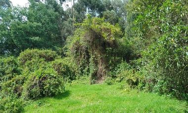 VENDO FINCA