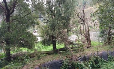 VENDO FINCA