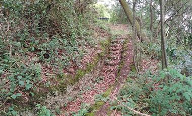 VENDO FINCA