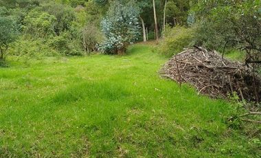 VENDO FINCA