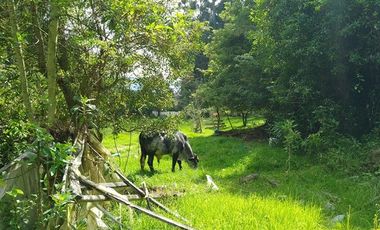 VENDO FINCA