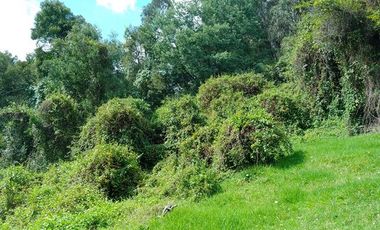 VENDO FINCA