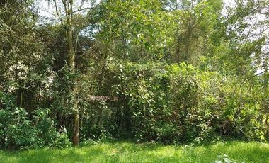 VENDO FINCA