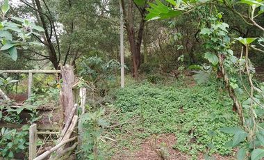 VENDO FINCA