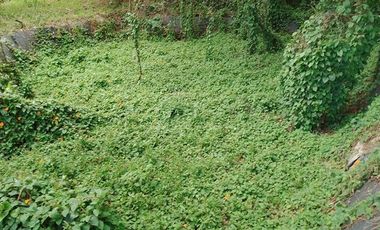 VENDO FINCA
