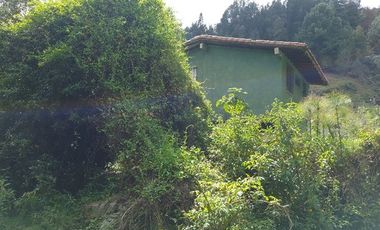 VENDO FINCA