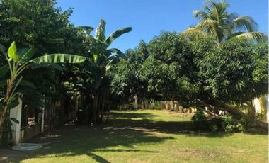 House and Lot in Tarlac City