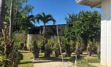 House and Lot in Tarlac City