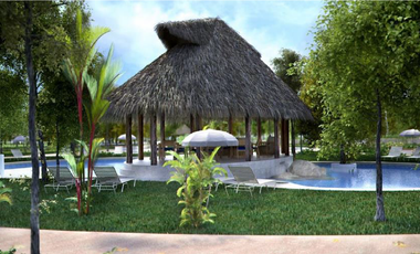 Casa nueva, vida nueva
