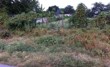TERRENO EN VENTA SOBRE CARRETERA