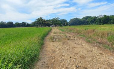 FINCA EN VENTA  SECTOR ARMERO GUAYABAL TOLIMA