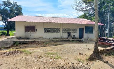 FINCA EN VENTA  SECTOR ARMERO GUAYABAL TOLIMA