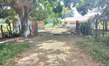 FINCA EN VENTA  SECTOR ARMERO GUAYABAL TOLIMA