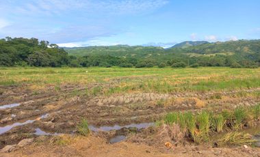 FINCA EN VENTA  SECTOR ARMERO GUAYABAL TOLIMA